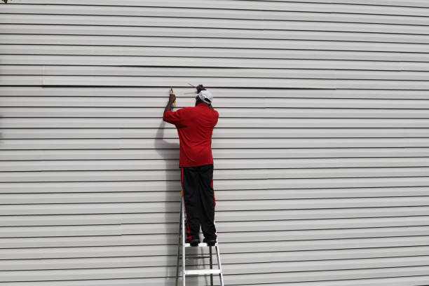 Affordable Siding Repair and Maintenance Services in Whiskey Creek, FL
